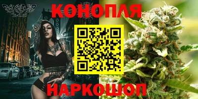 шишки Заводоуковск