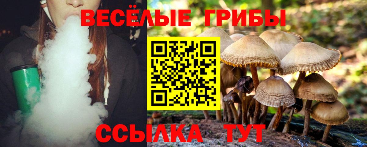 Можайск  где найти наркотики  Вход с VPN  Псилоцибиновые грибы Magic Shrooms  Псилоцибиновые грибы Psilocybe 